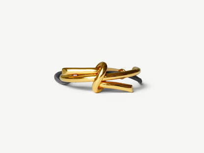 The small Knot
